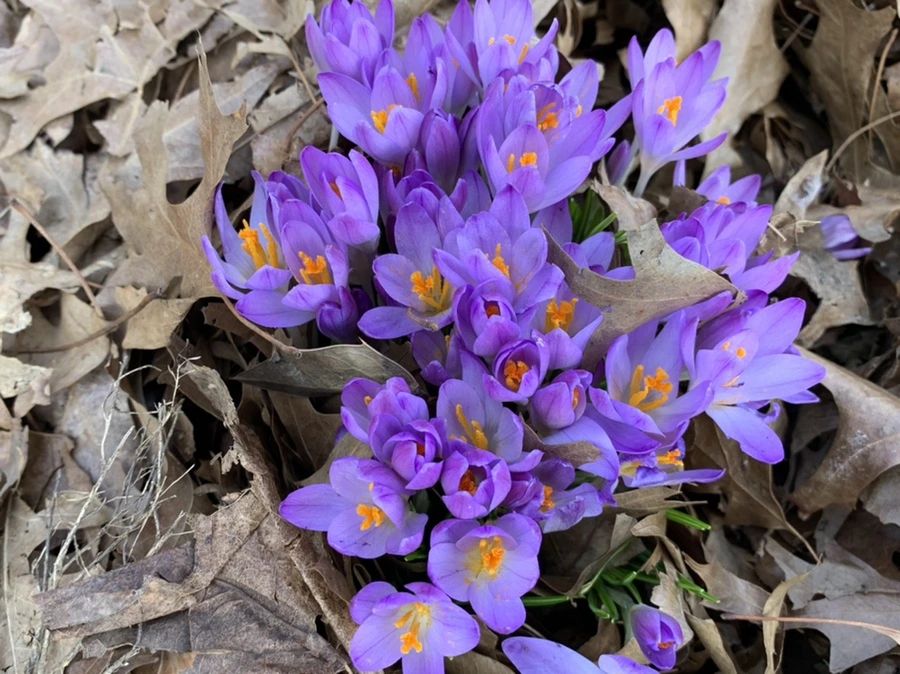 IMG_9697.jpg?type=w966