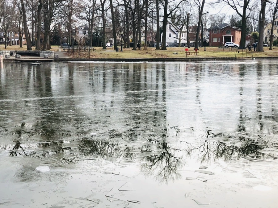 IMG_2019.jpg?type=w966