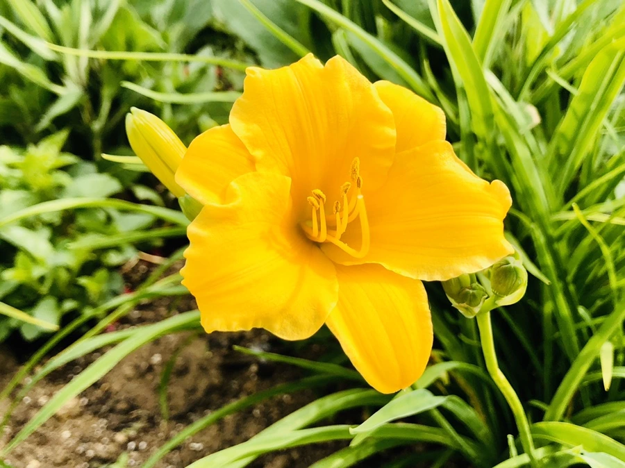 IMG_7882.jpg?type=w966