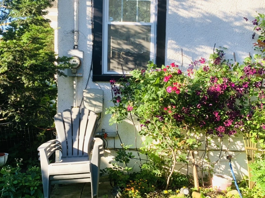 IMG_3965.jpg?type=w966