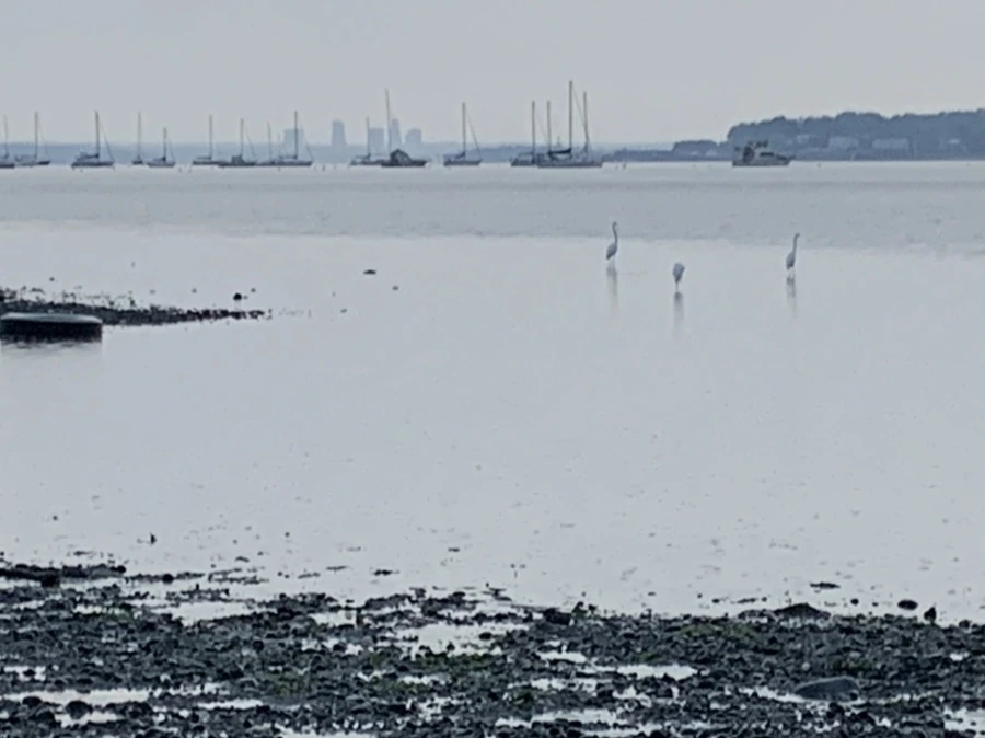 IMG_8116.jpg?type=w966