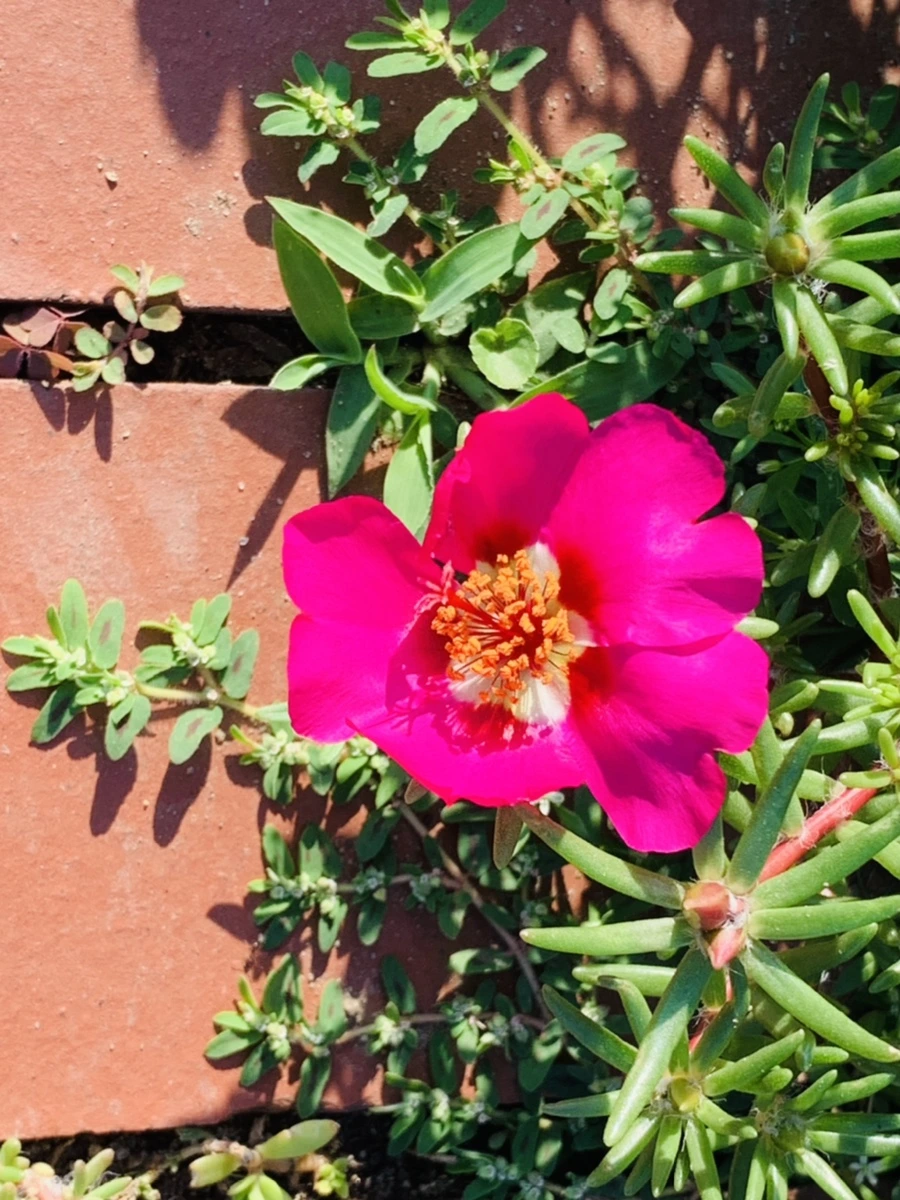 IMG_8401.jpg?type=w966