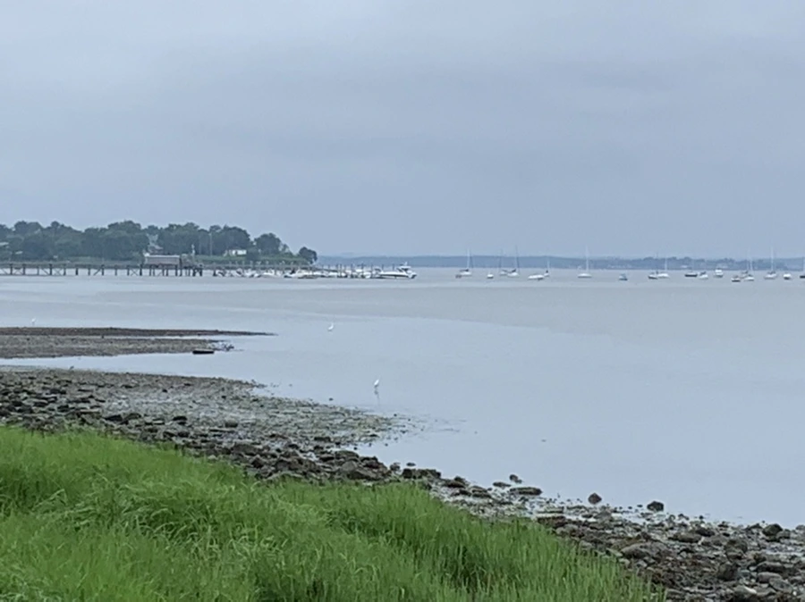 IMG_3724.jpg?type=w966