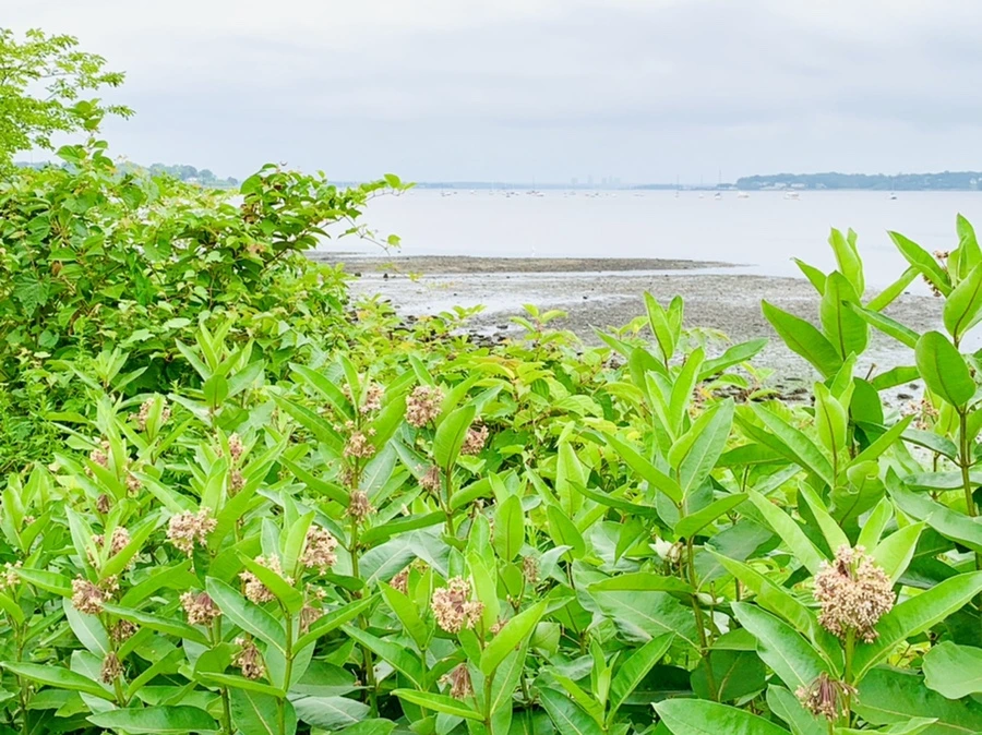 IMG_3779.jpg?type=w966