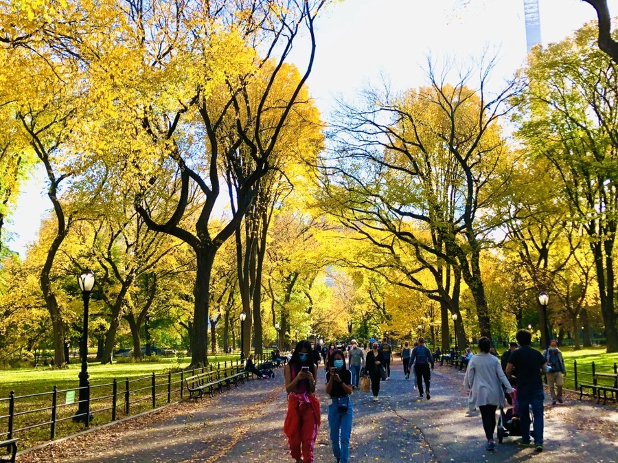 IMG_3493.jpg?type=w966