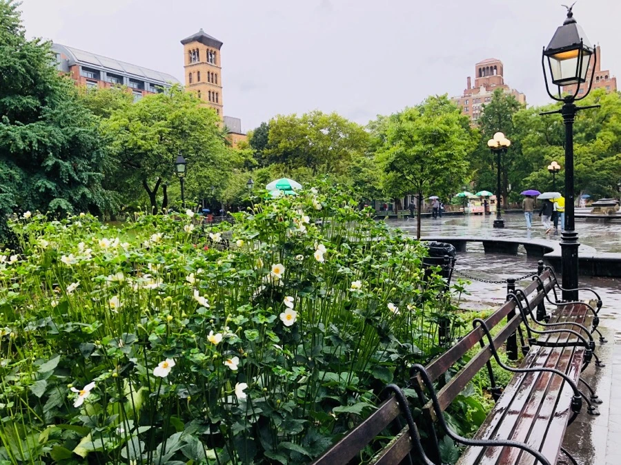 IMG_4482.jpg?type=w966