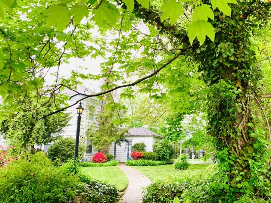 aZsdJ9A-DMbZc6JqP-1rADTuPkY