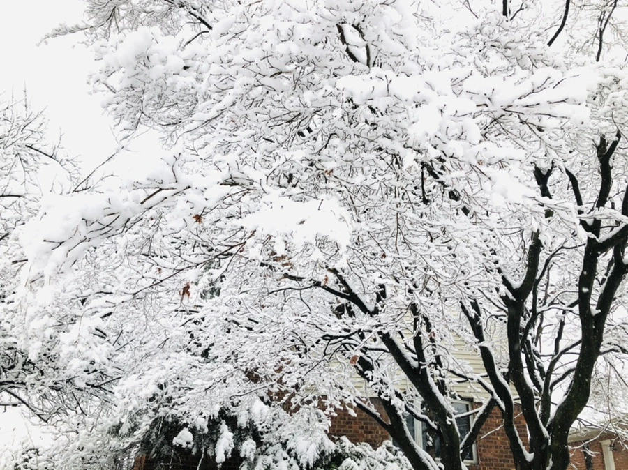 IMG_1054.jpg?type=w966