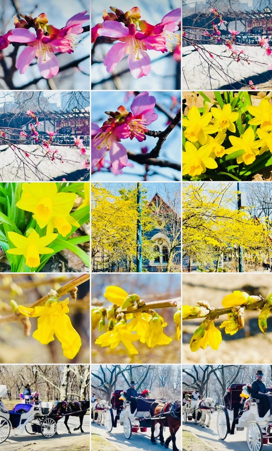 IMG_5664.jpg?type=w966