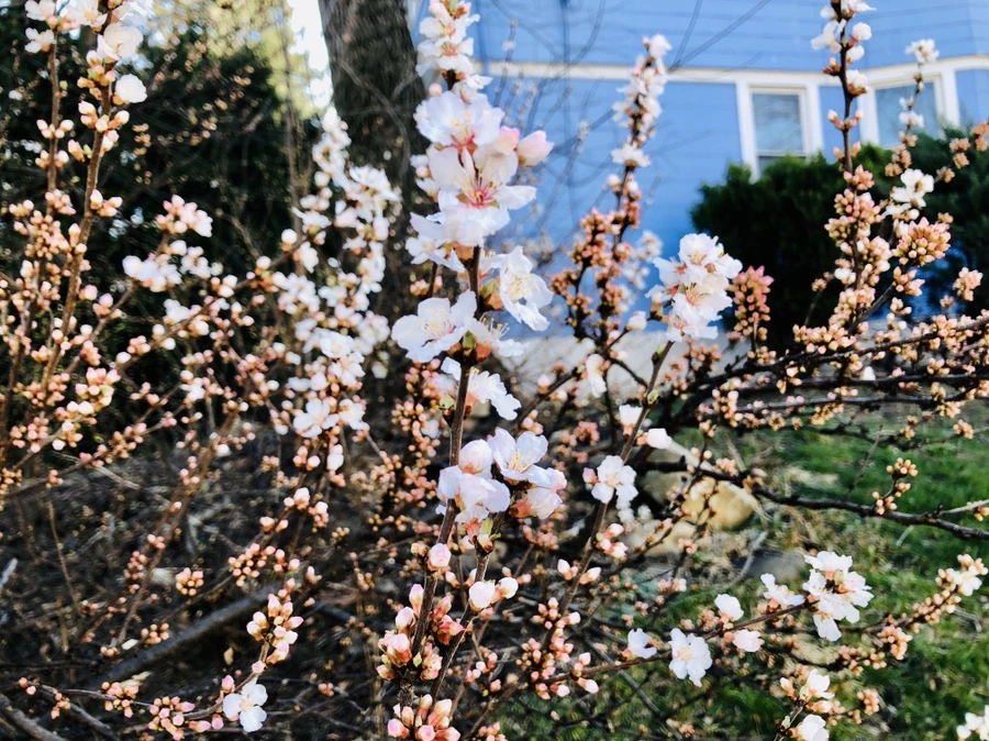 IMG_6444.jpg?type=w966