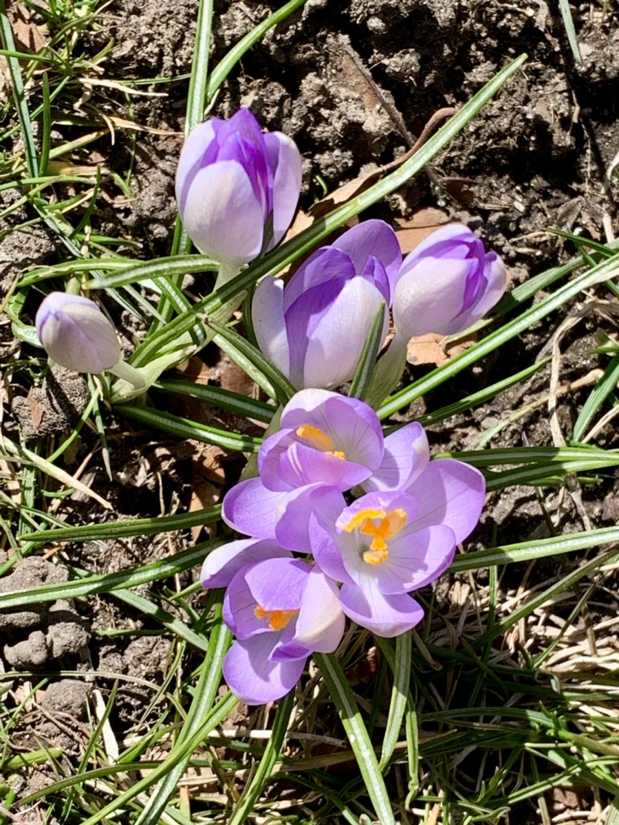 IMG_8200.jpg?type=w966