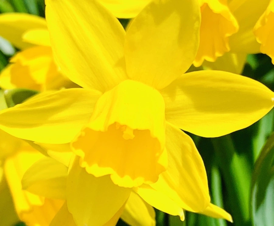 IMG_3392.jpg?type=w966