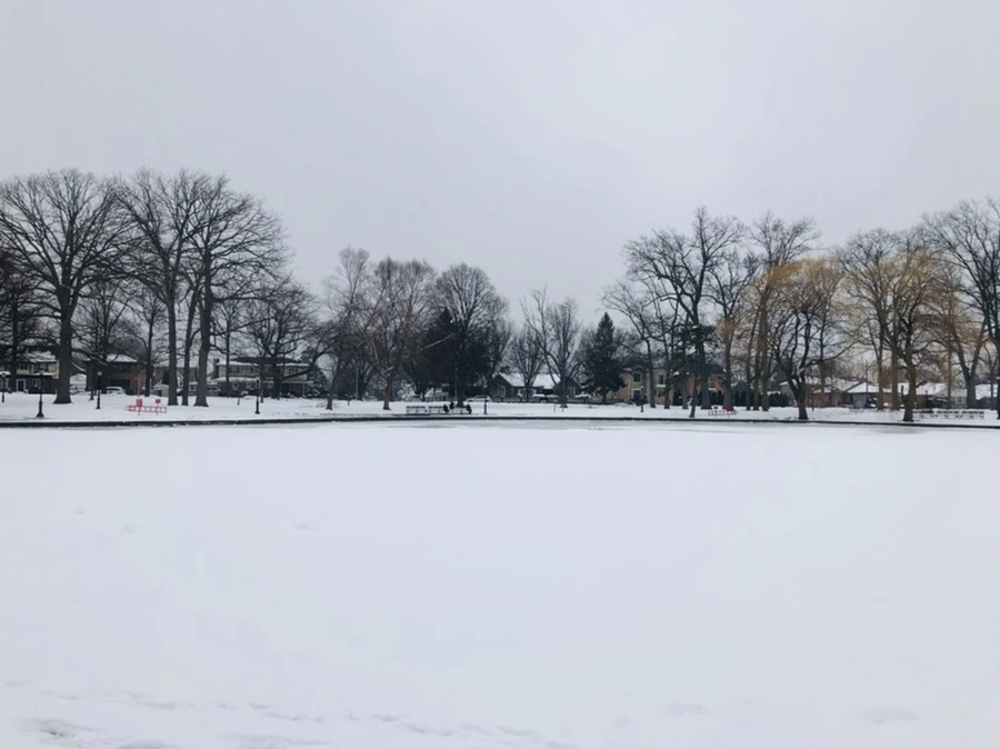 IMG_1547.jpg?type=w966