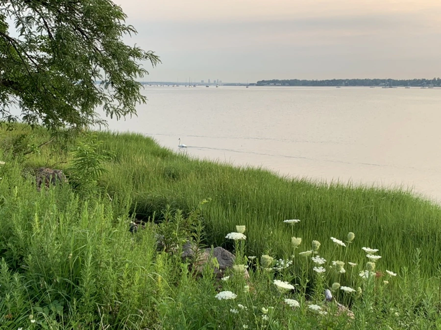 IMG_4758.jpg?type=w966