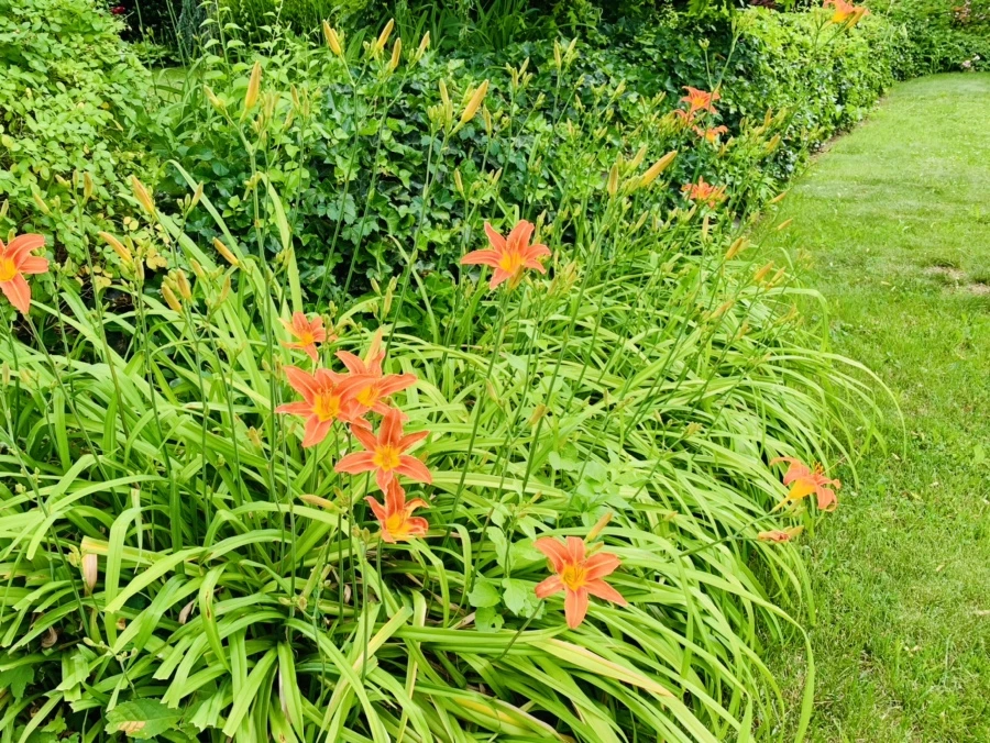 IMG_3267.jpg?type=w966