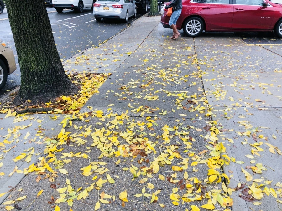 IMG_1863.jpg?type=w966