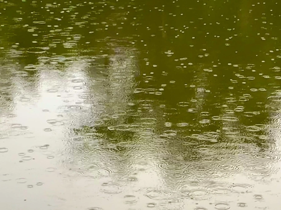 IMG_8302.jpg?type=w966