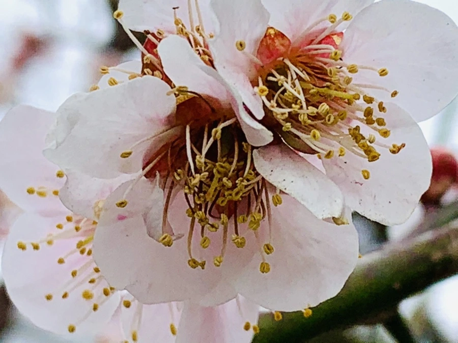 IMG_3576.jpg?type=w966