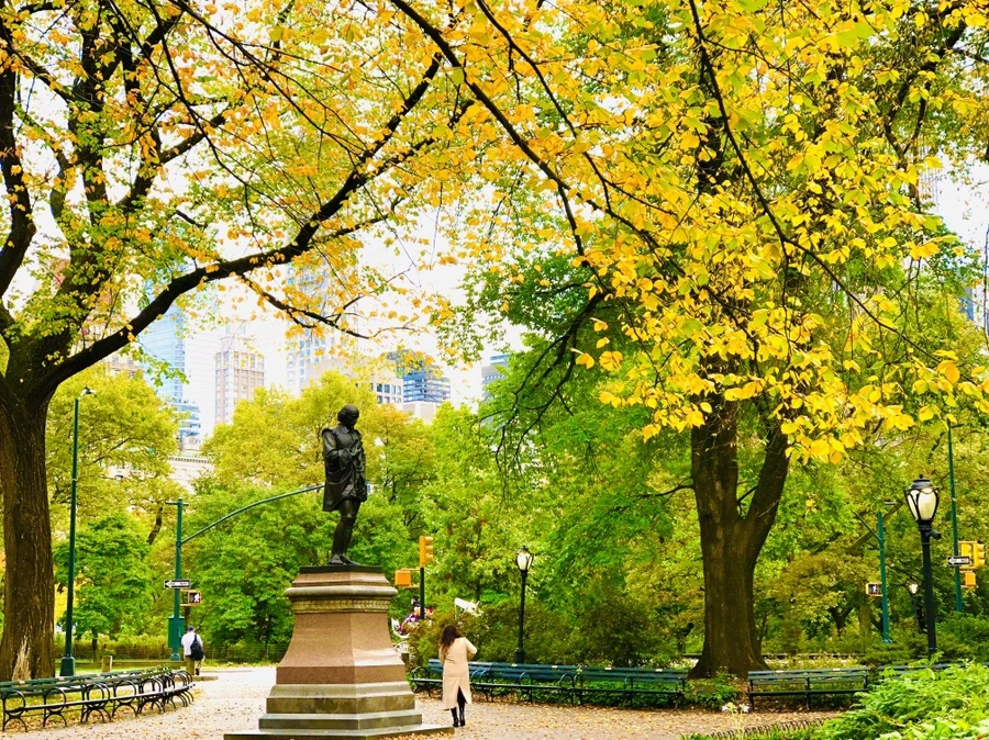 IMG_3099.jpg?type=w966