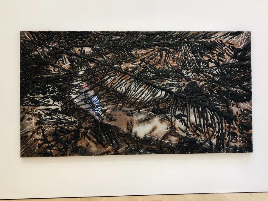 IMG_6646.jpg?type=w966