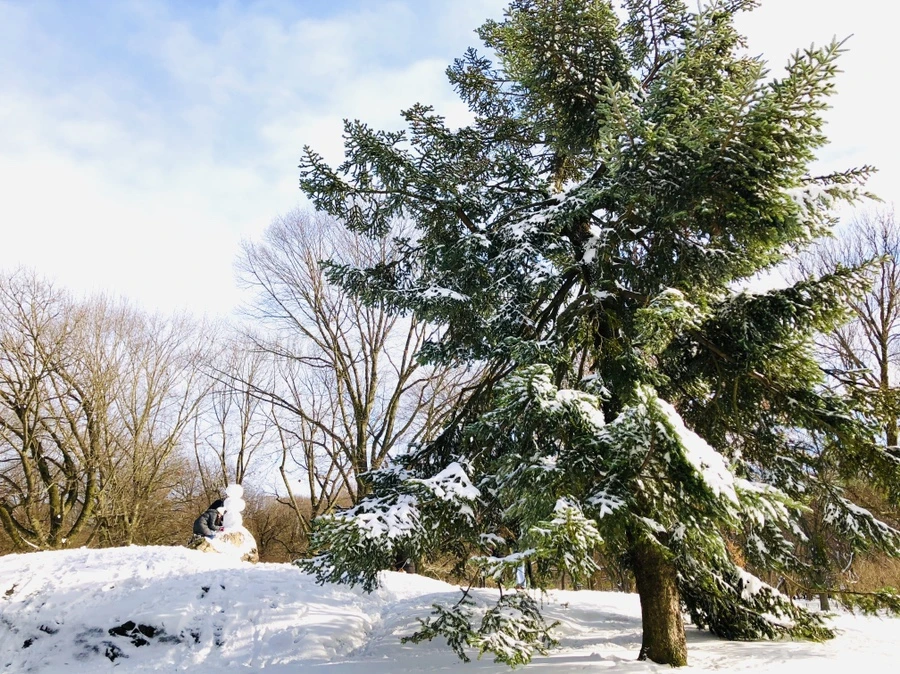 IMG_7072.jpg?type=w966