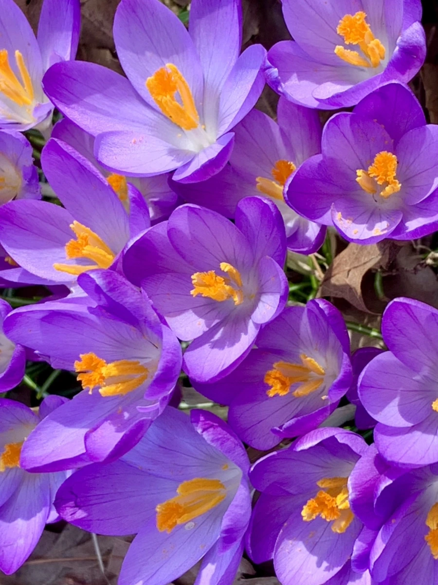 IMG_0144.jpg?type=w966