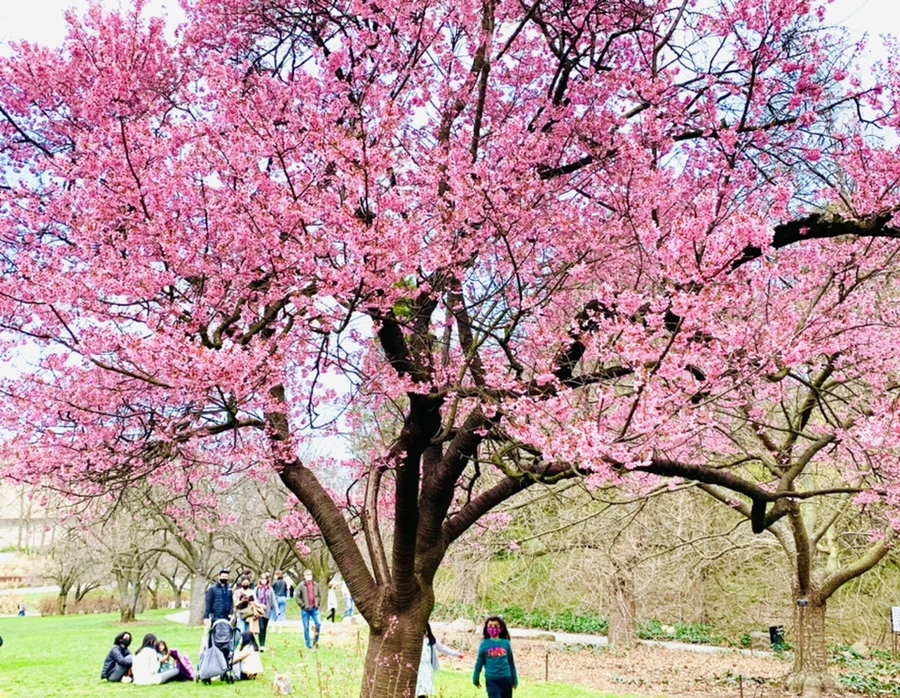 IMG_7068.jpg?type=w966