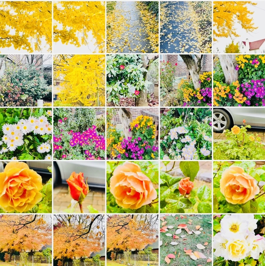 IMG_4958.jpg?type=w966