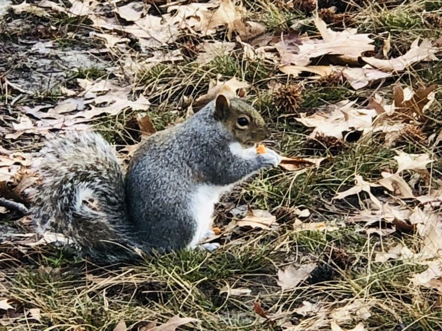 IMG_9925.jpg?type=w966