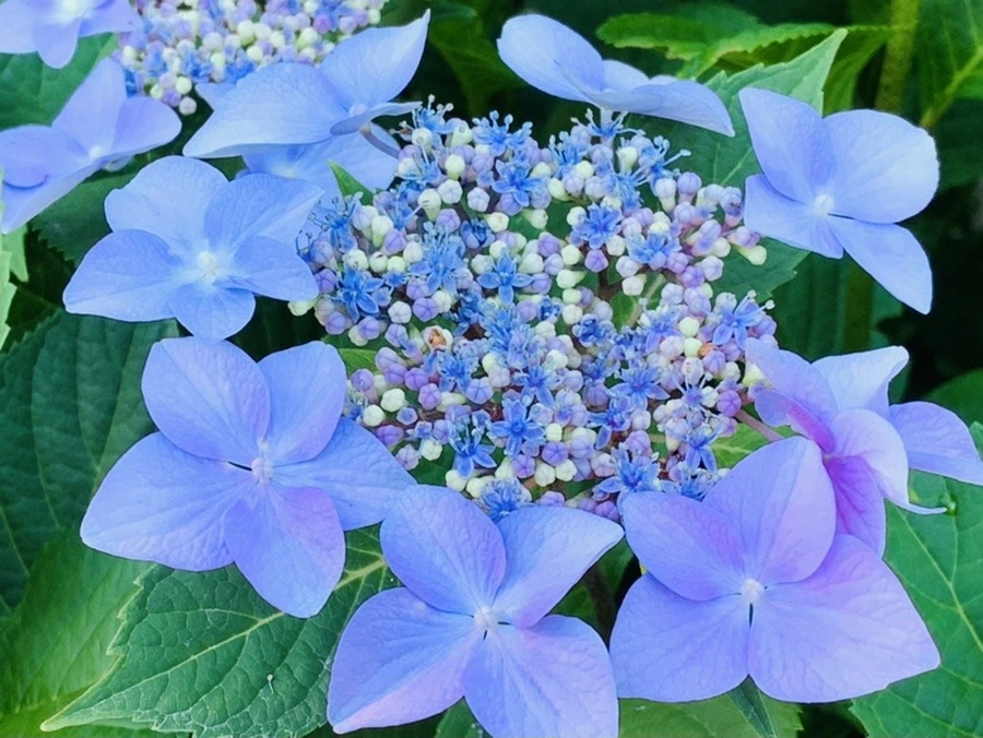 zKy13ZncM7xZOs4OCWIB4qbdjuE