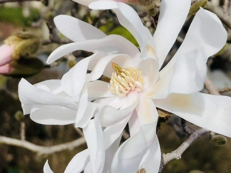 u_W9IA0PM9BEIQnQgFsKItIUmHU