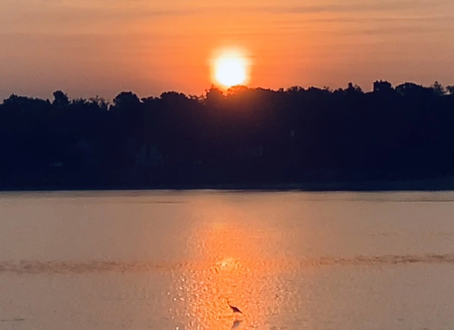 IMG_7720.jpg?type=w966