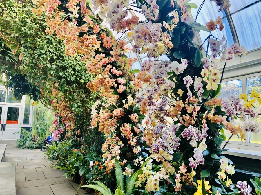 IMG_6278.jpg?type=w966