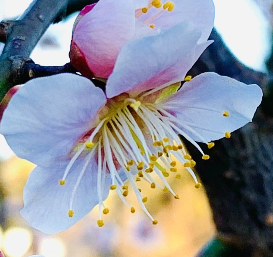 IMG_0833.jpg?type=w966