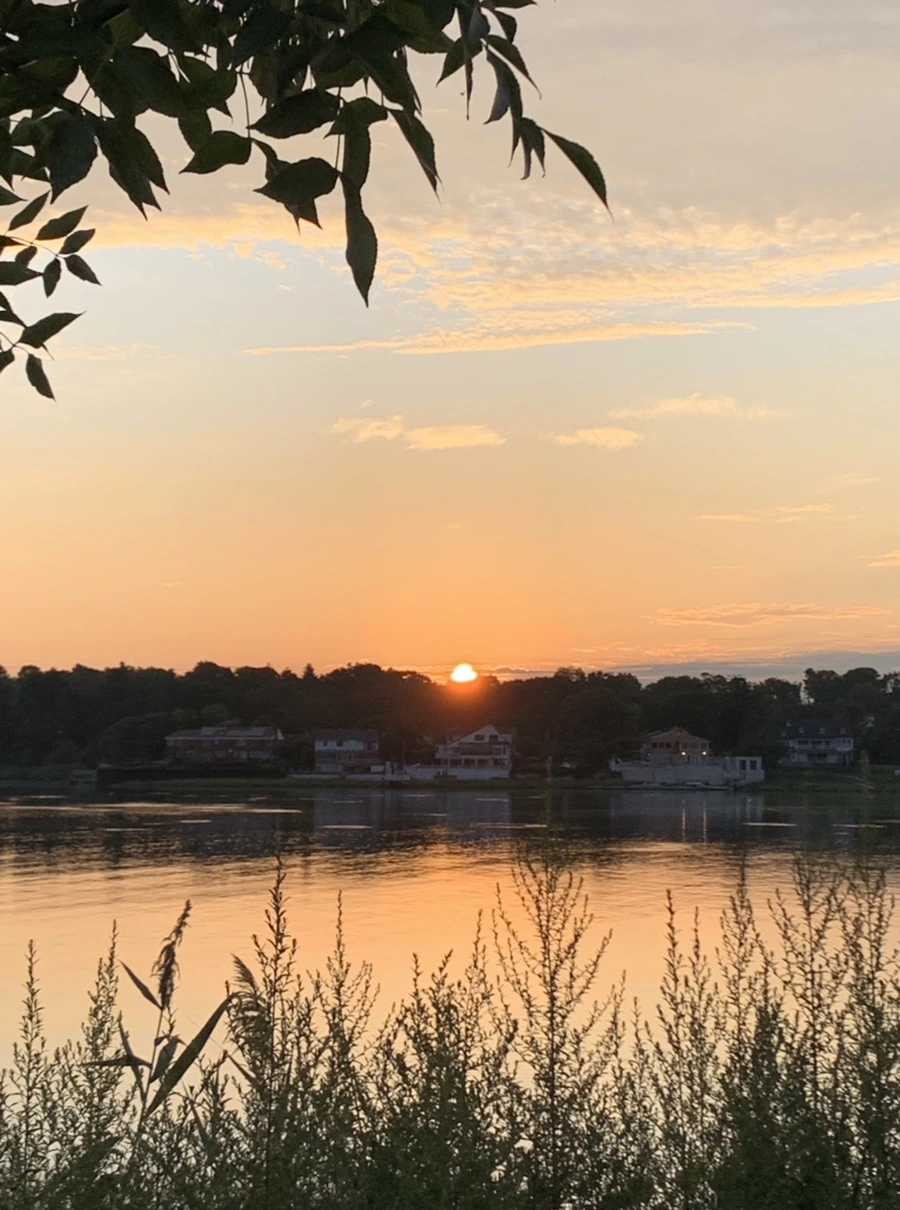 IMG_1264.jpg?type=w966