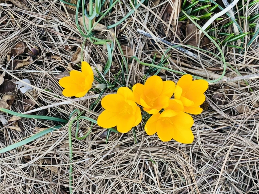 IMG_2977.jpg?type=w966