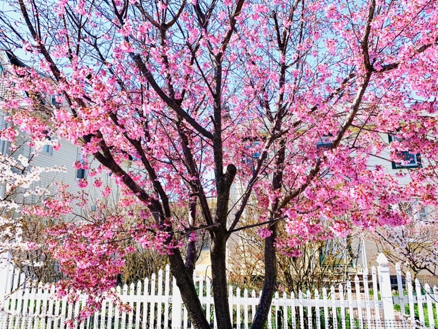 IMG_7632.jpg?type=w966