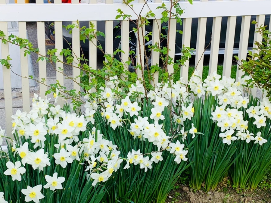 IMG_3597.jpg?type=w966