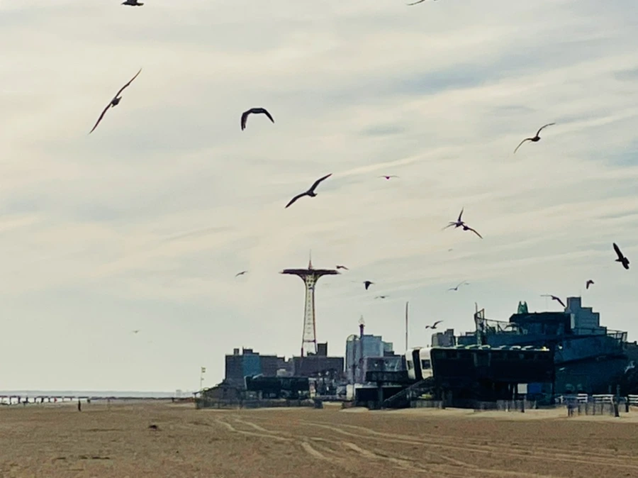 IMG_5067.jpg?type=w966