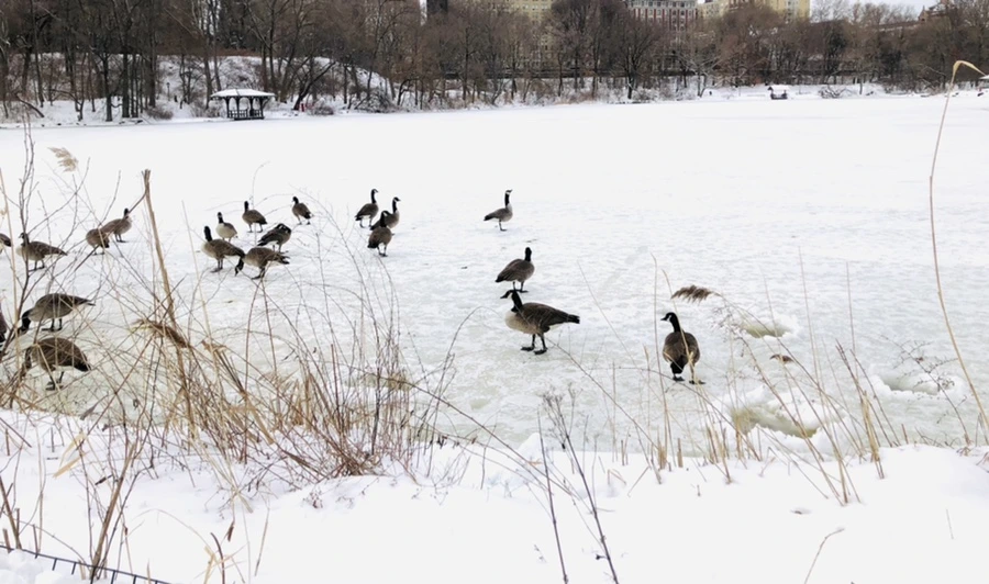 IMG_9483.jpg?type=w966