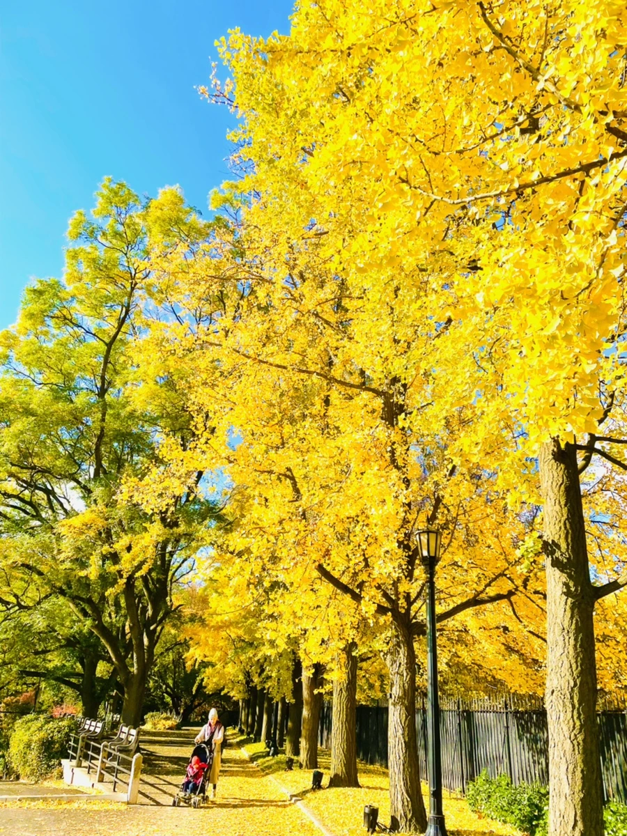 IMG_3196.jpg?type=w966