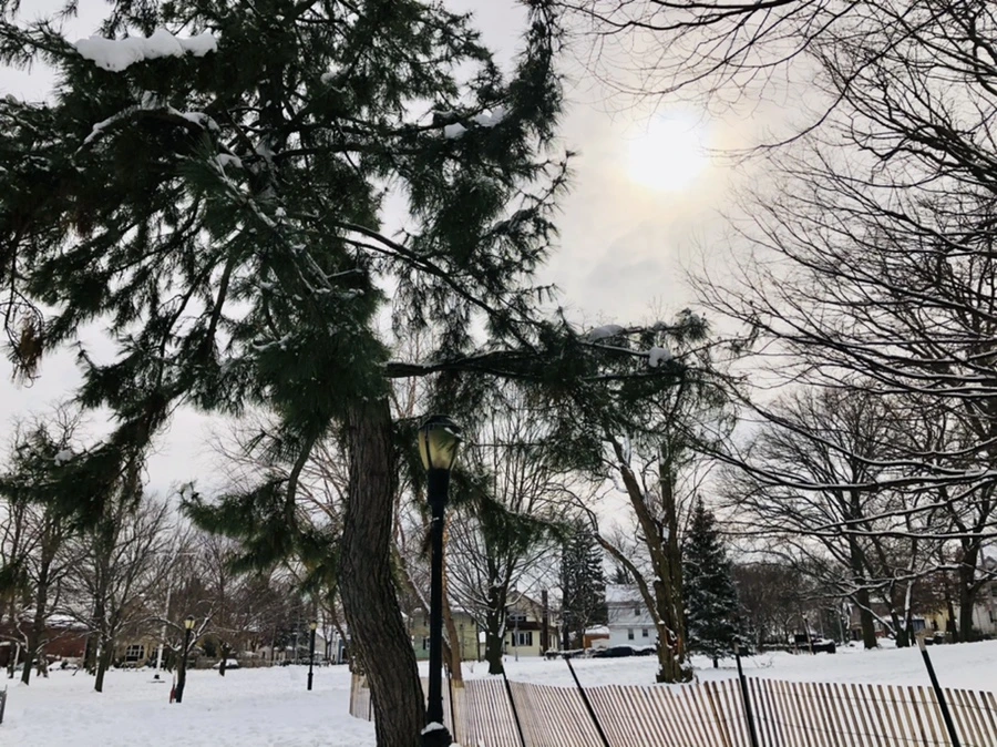 IMG_2141.jpg?type=w966