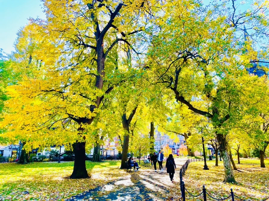 IMG_2592.jpg?type=w966