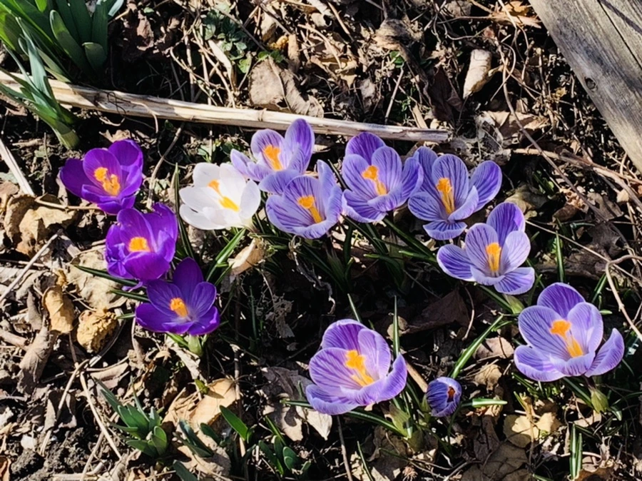 IMG_2906.jpg?type=w966