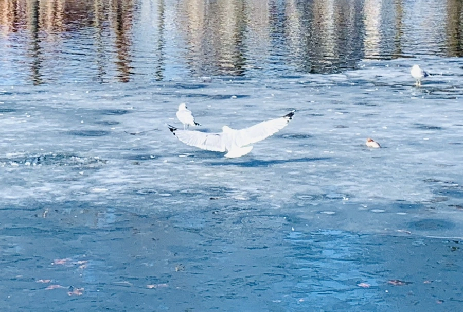 IMG_6974.jpg?type=w966