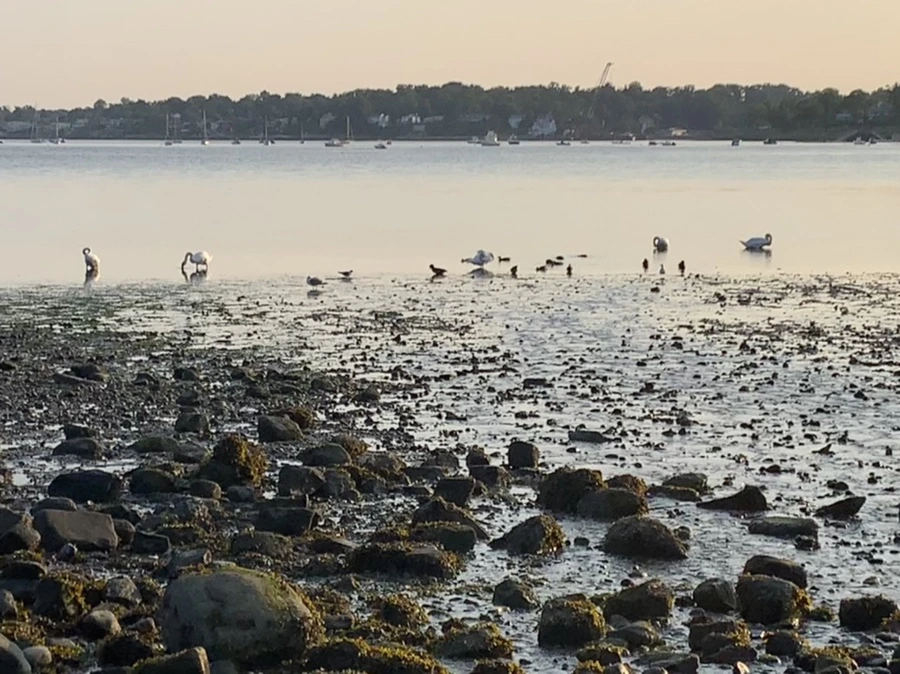 IMG_9776.jpg?type=w966