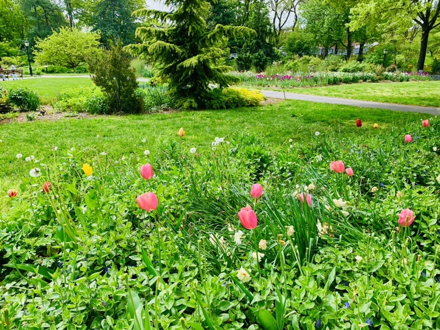 IMG_1235.jpg?type=w966