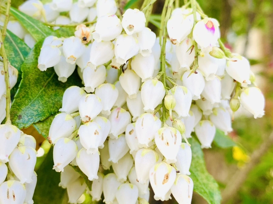 IMG_8357.jpg?type=w966