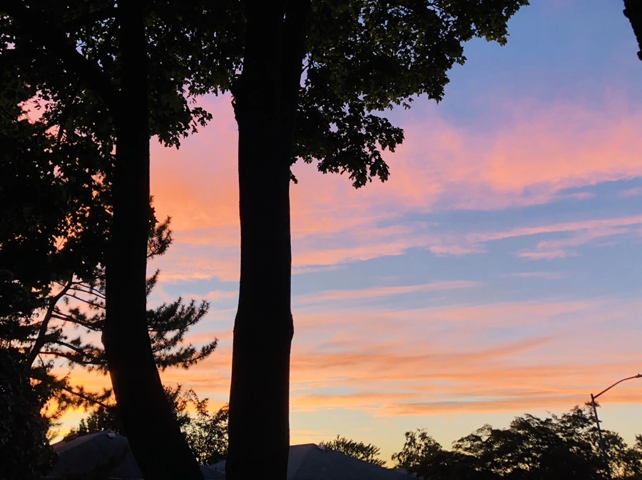 IMG_9196.jpg?type=w966