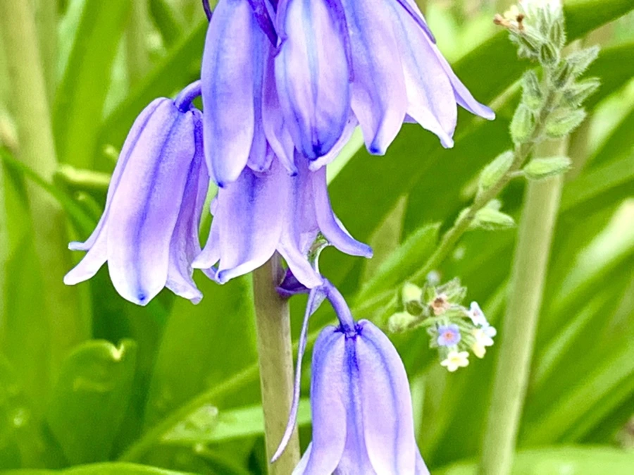 IMG_9592.jpg?type=w966